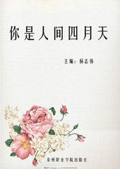 老镖客城中村全集